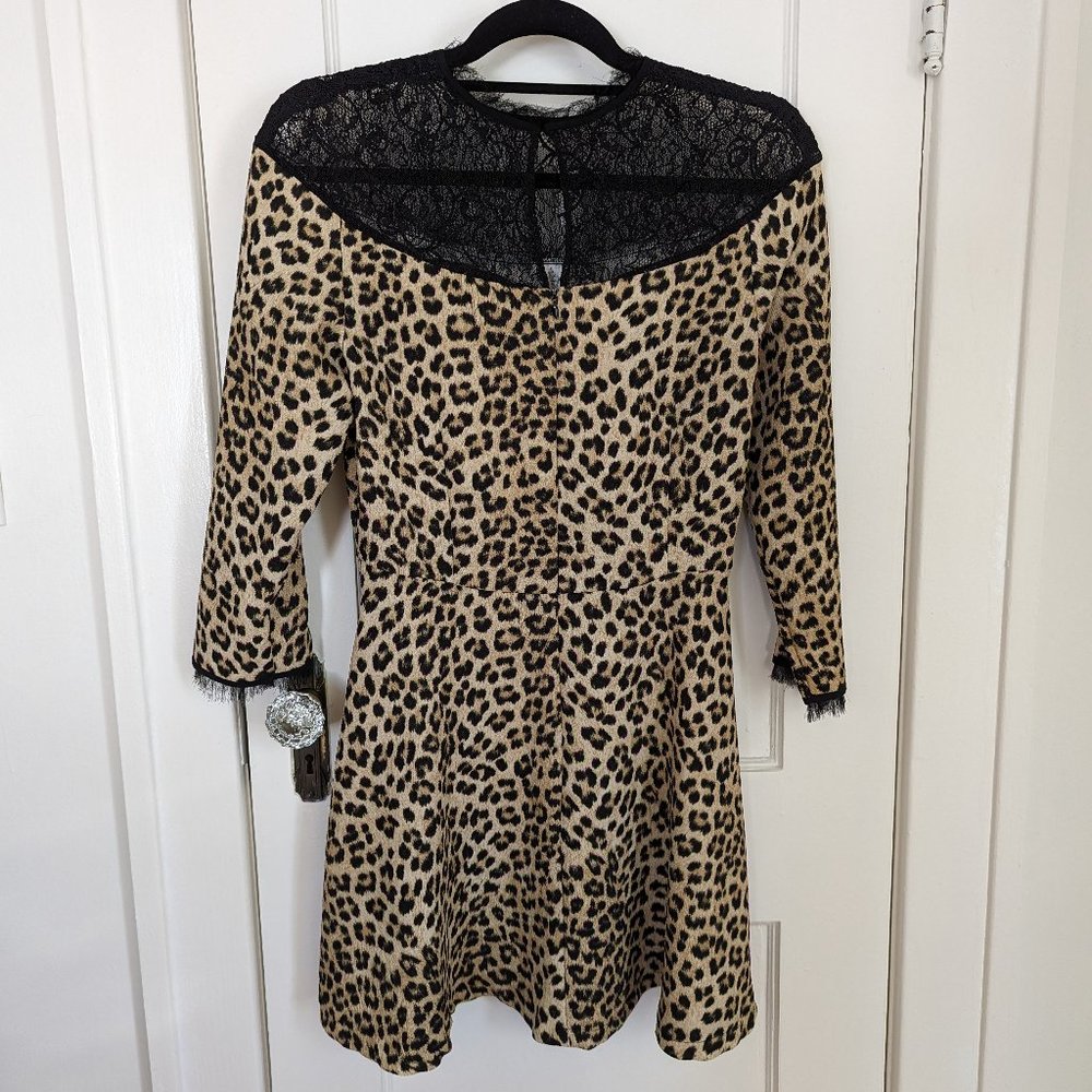 Zara Leopard & Lace 3/4 length sleeve dress